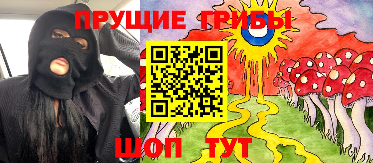 Галлюциногенные грибы прущие грибы Черняховск